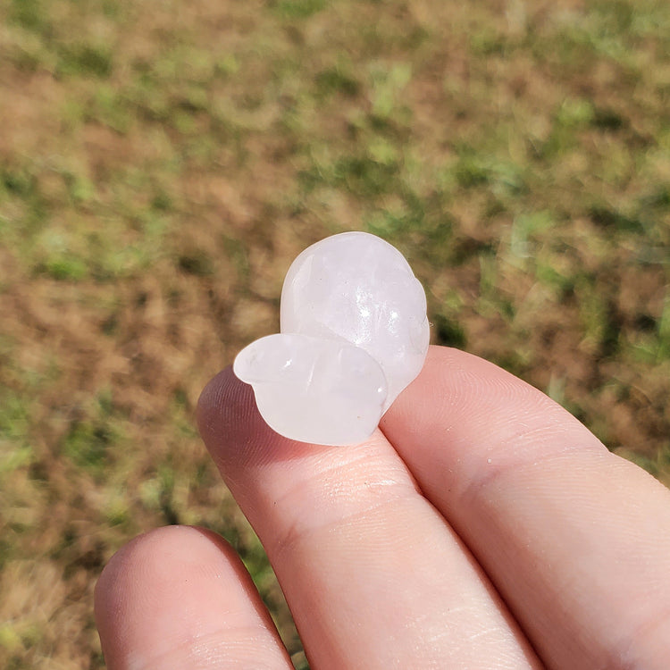 Clear Quartz Happy Snail Mail Carving Crystals Minerals Collectible Gifts