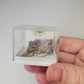 Hexagonite Crystals Minerals Thumbnails Natural Specimen Collectible