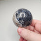 High Quality Fossilized Palm Root Sphere Indonesia Collectible