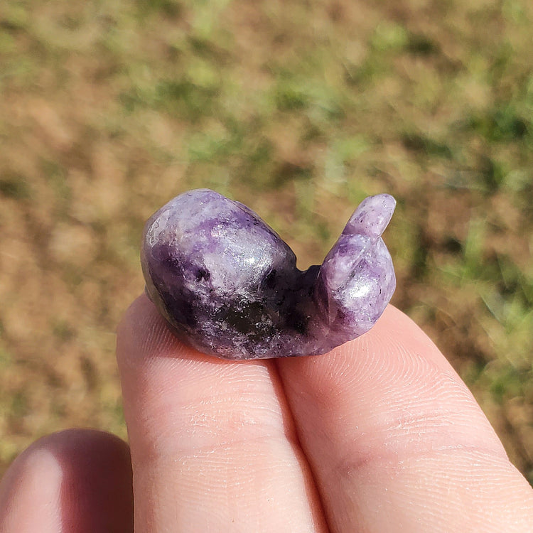 Amethyst Happy Snail Mail Carving Crystals Minerals Collectible Gifts