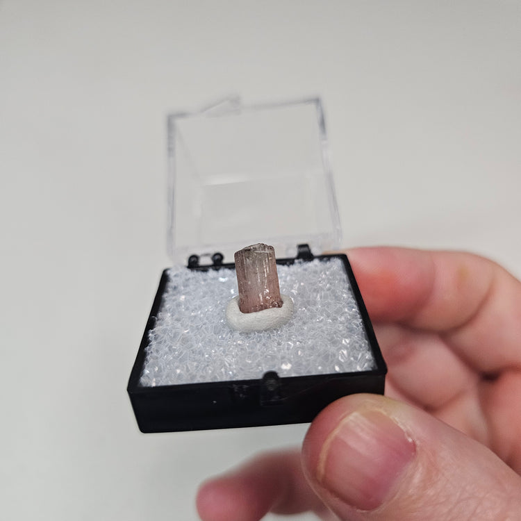 Watermelon Tourmaline Crystals Minerals Thumbnails Natural Specimen Collectible