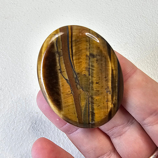 Tiger Eye Worry Stone Crystals Mineral Stones Natural BONUS Info Card Gifts