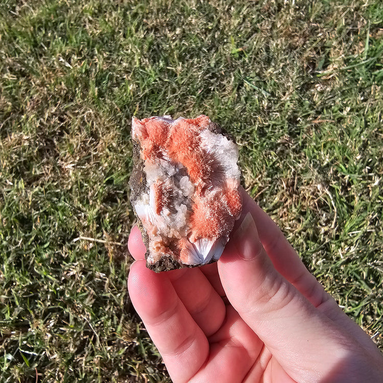 Thomsonite Specimen India Crystals Minerals Collectible Gifts