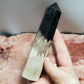 Fossilized Palm Root Generator Tower Chalcedony Indonesia Crystals Collectible B