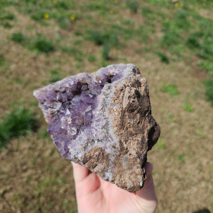 Amethyst Large Juicy Cluster Specimen Chihuahua Mexico Crystals Collectible