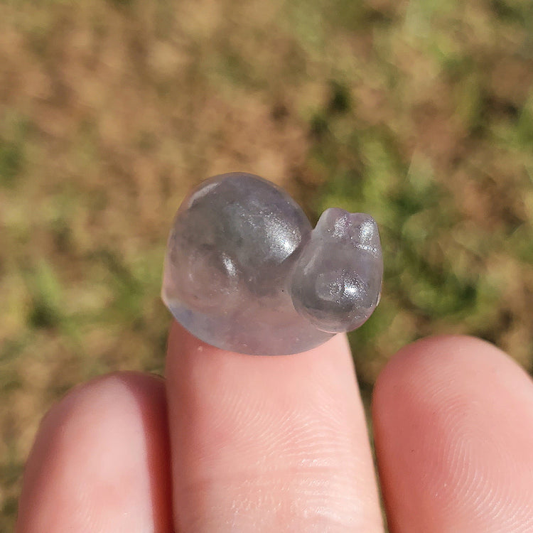 Fluorite Kawaii Snail Carving BONUS Info Card Crystals Minerals Stones Rocks