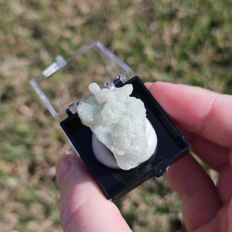 Prehnite Crystals Minerals Thumbnails Natural Specimen Collectible