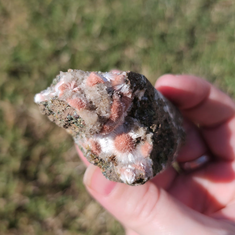 Thomsonite Specimen India Crystals Minerals Collectible Gifts