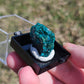 Dioptase Crystals Minerals Thumbnails Natural Specimen Collectible