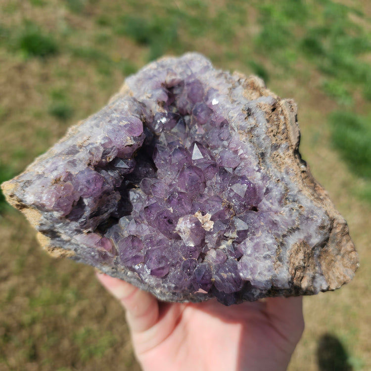 Amethyst Large Juicy Cluster Specimen Chihuahua Mexico Crystals Collectible