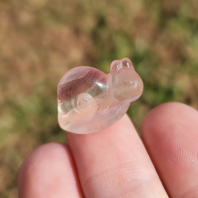 Fluorite Kawaii Snail Carving BONUS Info Card Crystals Minerals Stones Rocks