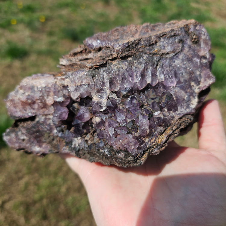 Amethyst Large Juicy Cluster Specimen Chihuahua Mexico Crystals Collectible