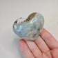 Green Flower Agate Palm Pocket Stone Crystals Minerals Stones Natural Metaphysical Nature Reiki Sugary Collectible