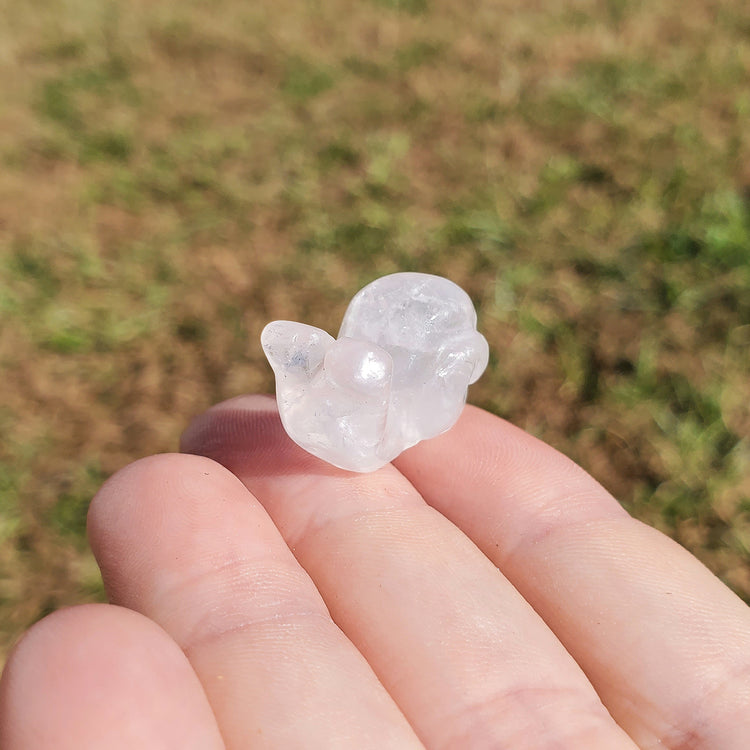 Clear Quartz Happy Snail Mail Carving Crystals Minerals Collectible Gifts