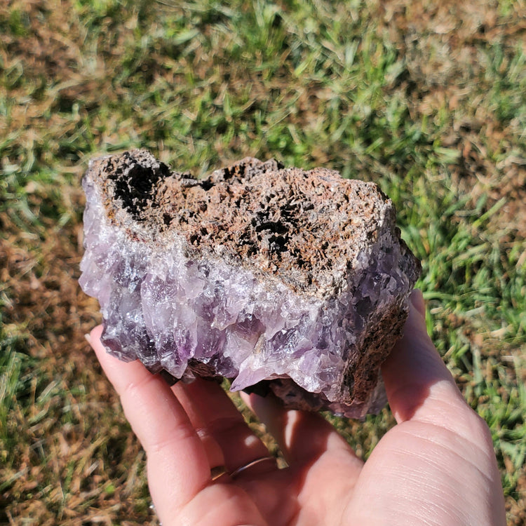 Amethyst Large Juicy Cluster Specimen Chihuahua Mexico Crystals Collectible
