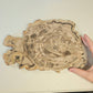 Petrified Wood Indonesia Fossilized Slab Slice Crystals Minerals