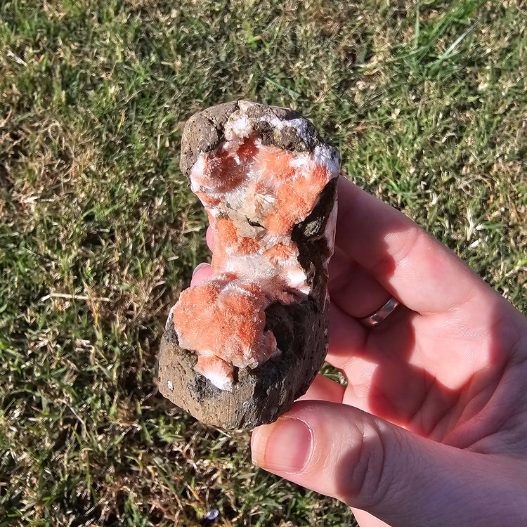 Thomsonite Specimen India Crystals Minerals Collectible Gifts