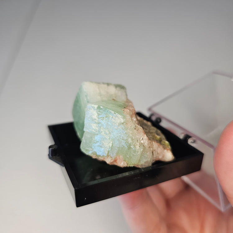 Green Apophyllite Crystals Minerals Thumbnails Natural Specimen Collectible