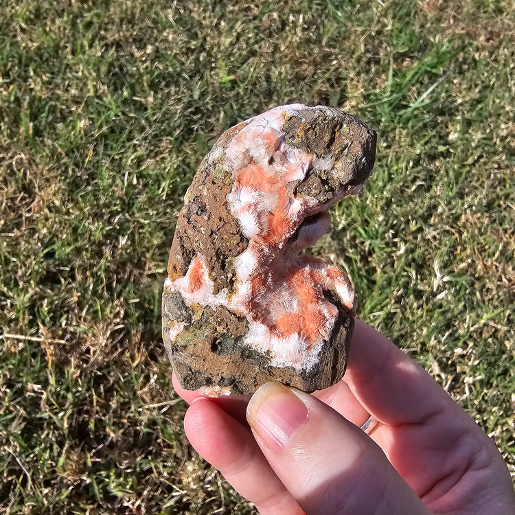 Thomsonite Specimen India Crystals Minerals Collectible Gifts