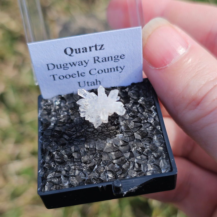 Quartz Flower Crystals Minerals Thumbnails Natural Specimen Collectible