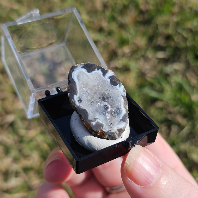 Oco Geode Crystals Minerals Thumbnails Natural Specimen Collectible