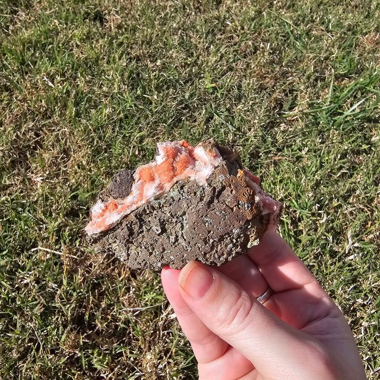 Thomsonite Specimen India Crystals Minerals Collectible Gifts