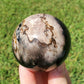 Fossilized Palm Root Sphere Indonesia BONUS GIFT Hematite Ring Collectible DD