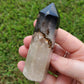 Fossilized Palm Root Generator Tower Indonesia Crystals Minerals Stones Natural Healing Metaphysical Nature Reiki Collectible