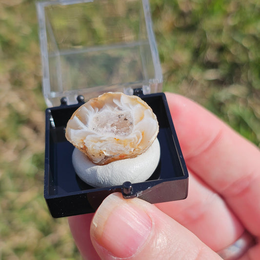 Oco Geode Crystals Minerals Thumbnails Natural Specimen Collectible