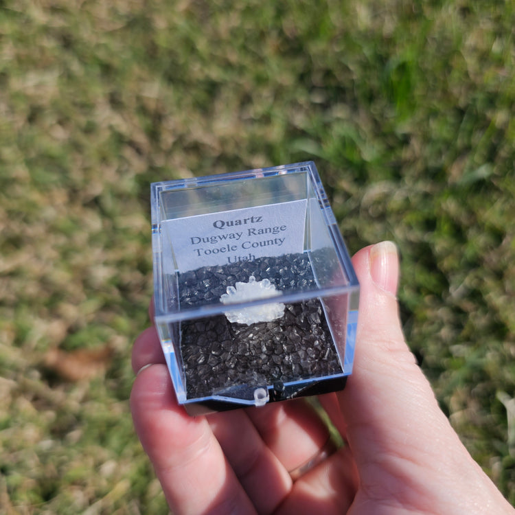 Quartz Flower Crystals Minerals Thumbnails Natural Specimen Collectible