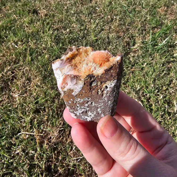 Thomsonite Specimen India Crystals Minerals Collectible Gifts