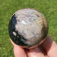 Fossilized Palm Root Sphere Indonesia BONUS GIFT Hematite Ring Collectible AA