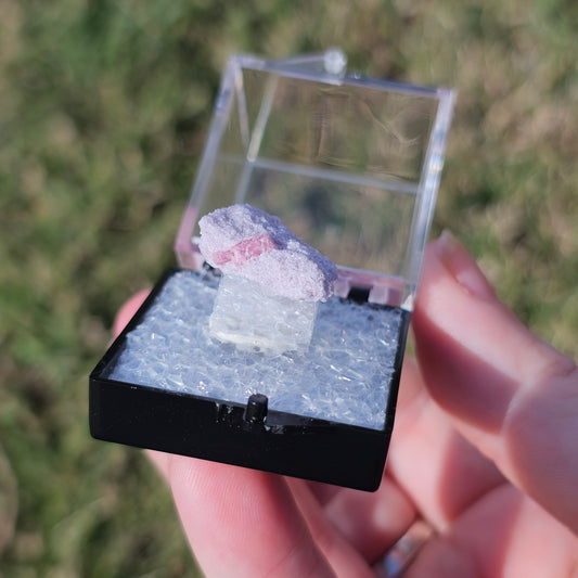 Rubellite & Lepidolite Crystals Minerals Thumbnails Natural Specimen Collectible