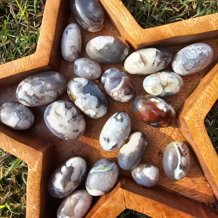 Black Flower Agate Stones 1 lb Crystals Collectible Healing Reiki Polished LOT