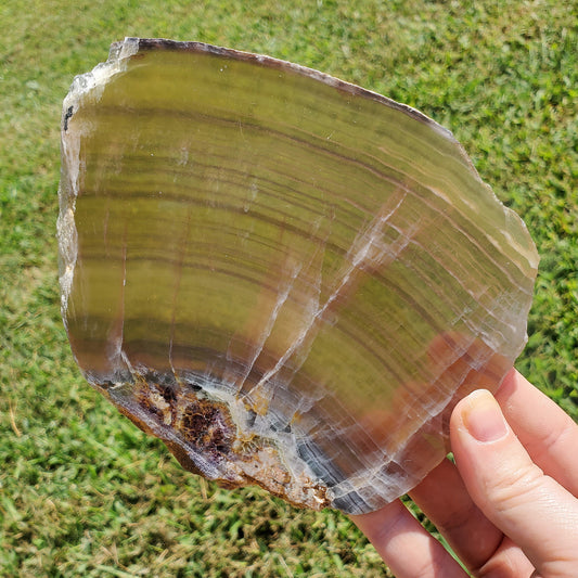 Rainbow Fluorite Slab Slice Minerals Stones Natural BONUS Info Card Nature Reiki Collectible