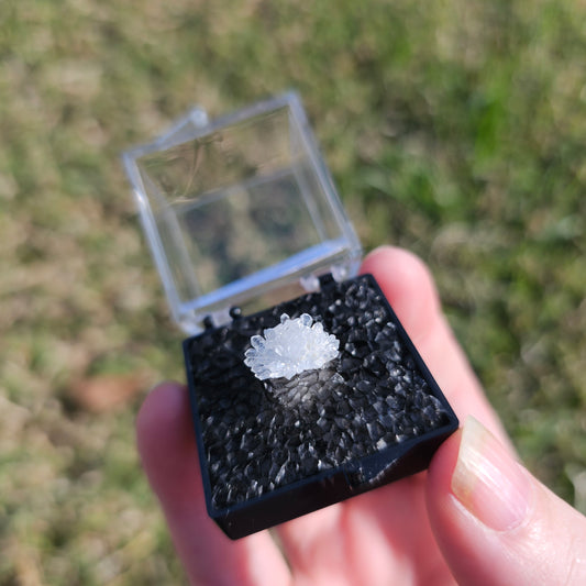 Quartz Flower Crystals Minerals Thumbnails Natural Specimen Collectible