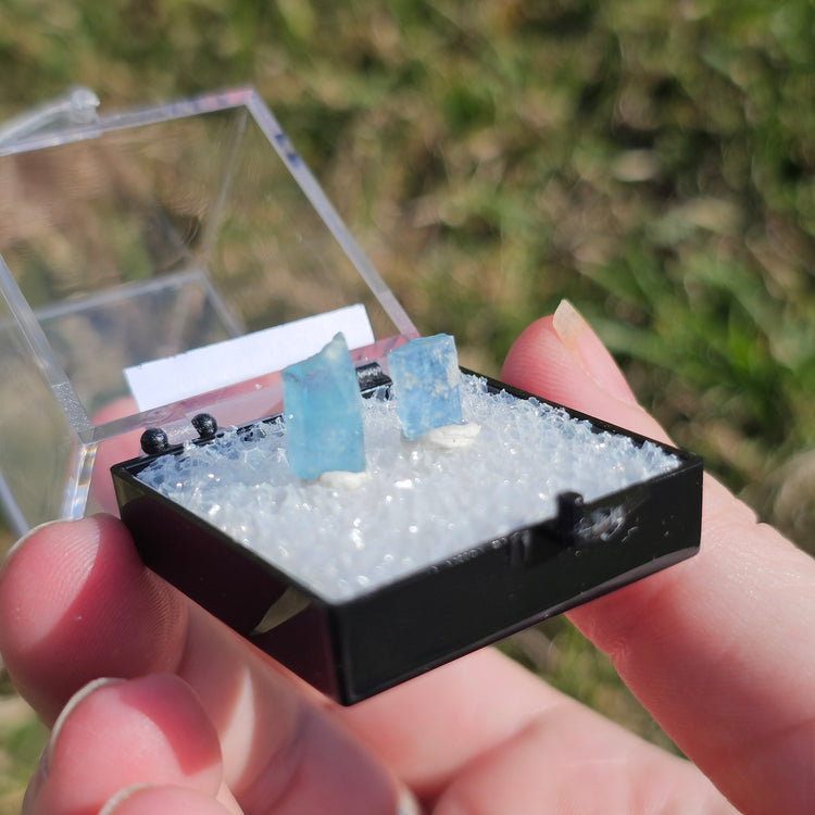 Aquamarine Crystals Minerals Thumbnails Natural Specimen Collectible