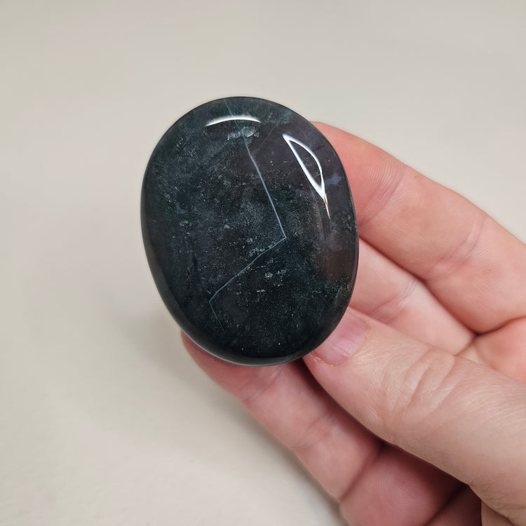 Ocean Jasper Worry Pocket Stone Crystals Mineral Stones BONUS INFO CARD