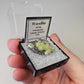 Wavellite Crystals Minerals Thumbnails Natural Specimen Collectible