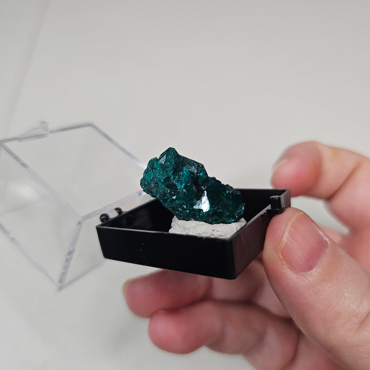 Dioptase Crystals Minerals Thumbnails Natural Specimen Collectible