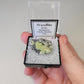 Wavellite Crystals Minerals Thumbnails Natural Specimen Collectible