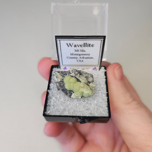 Wavellite Crystals Minerals Thumbnails Natural Specimen Collectible