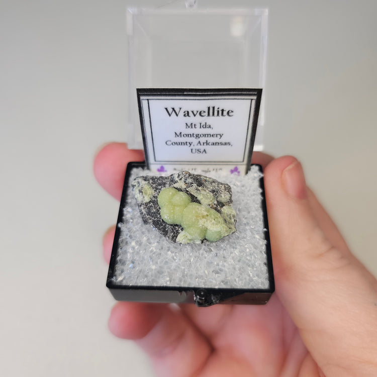Wavellite Crystals Minerals Thumbnails Natural Specimen Collectible