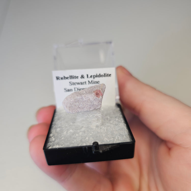 Rubellite & Lepidolite Crystals Minerals Thumbnails Natural Specimen Collectible