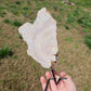 Beautiful Pink Amethyst on Stand BONUS Info Card Crystals Minerals Specimen Nature