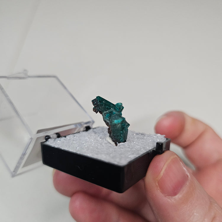 Dioptase Crystals Minerals Thumbnails Natural Specimen Collectible