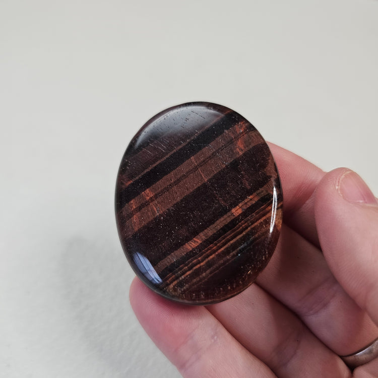 Red Tiger's Eye Worry Pocket Stone Crystals BONUS INFO CARD Gifts