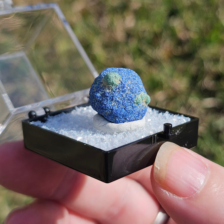 Azurite Blueberry Crystals Minerals Thumbnails Natural Specimen Collectible
