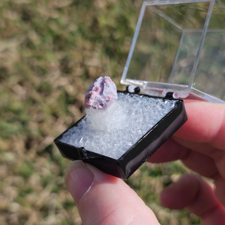 Rubellite & Lepidolite Crystals Minerals Thumbnails Natural Specimen Collectible