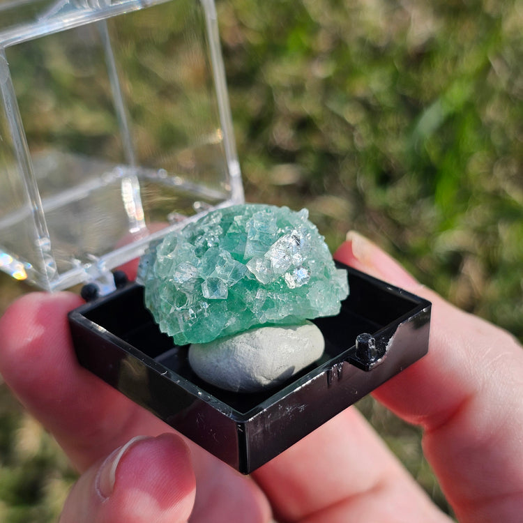 Fluorapophyllite Stilbite Crystals Minerals Thumbnails Natural Specimen Collectible